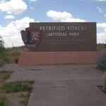 Petrified Forest National Park