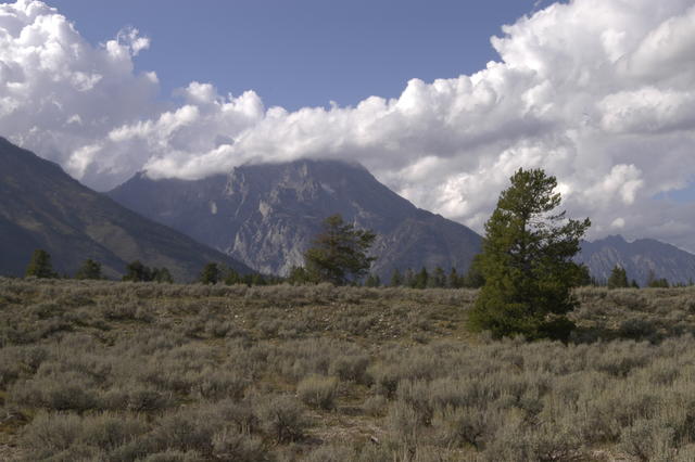 2007.08.31.Jackson Lake Lodge0002