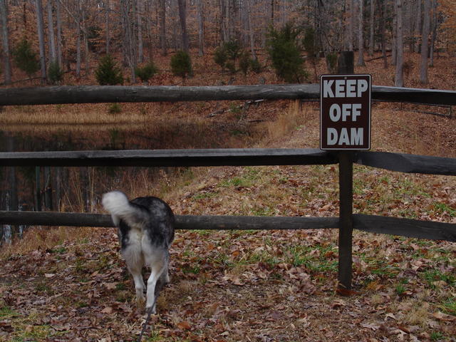 2012.12.08 National Park NOVA 010.JPG