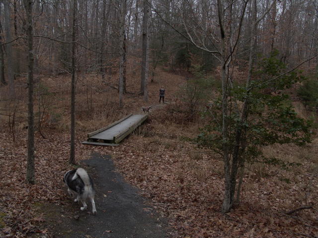 2012.12.08 National Park NOVA 018.JPG