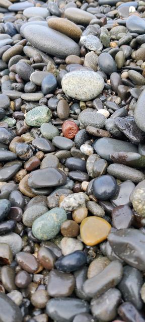 Rialto Beach (3)