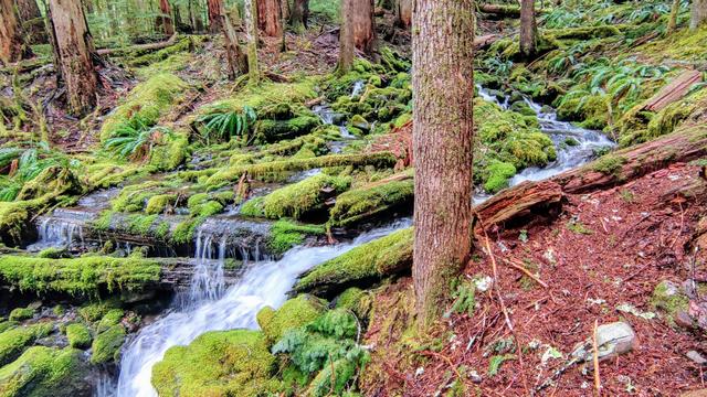 Sol Duc Falls