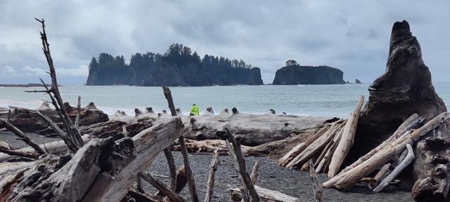 Rialto Beach (2)