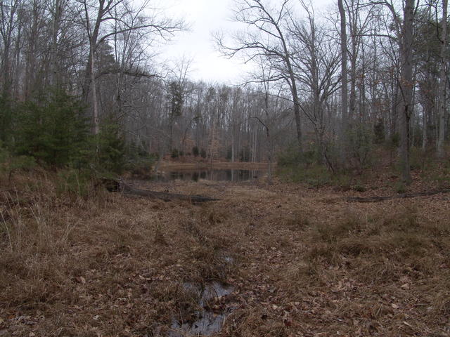 2012.12.08 National Park NOVA 022.JPG