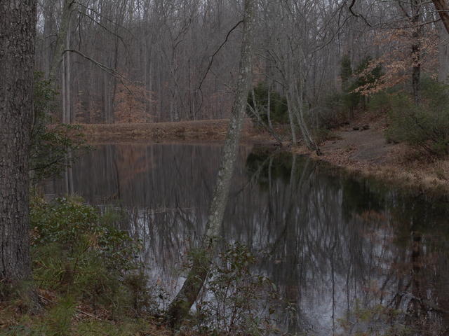 2012.12.08 National Park NOVA 033.JPG