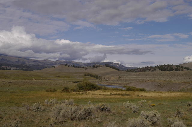 2007.09.05.Lamar Valley0003